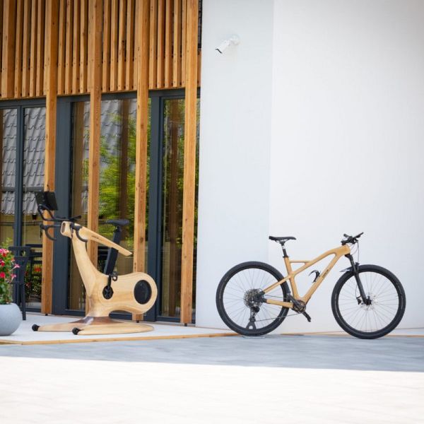 Annum Bicycle Wood Gym bike