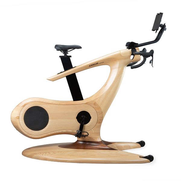 Annum Bicycle Wood Gym bike