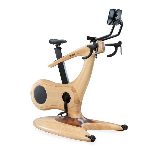 Annum Bicycle Wood Gym bike